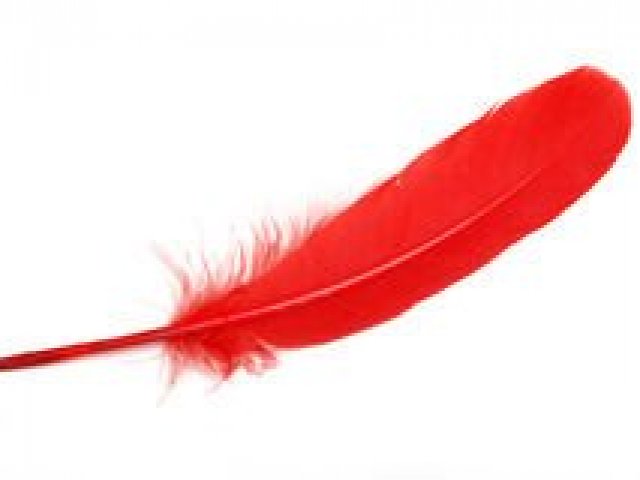 Pégasus de Sangue